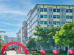 產(chǎn)業(yè)生態(tài)雙輪驅(qū)動(dòng)：靈科超聲波領(lǐng)跑“專精特新”賽道